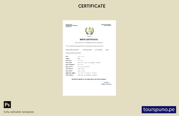listo para imprimir Certificado de nacimiento de Guatemala Plantilla Word y PDF